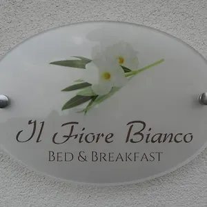 Bed & Breakfast Il Fiore Bianco, Capo dʼOrlando